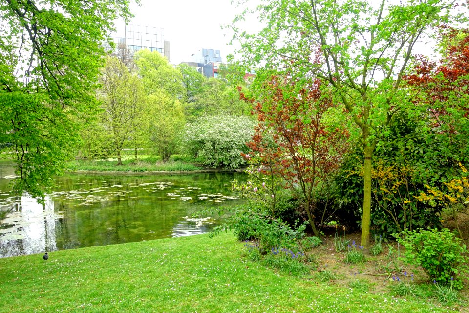 Leopold Park - Brussels, Belgium - DSC08332