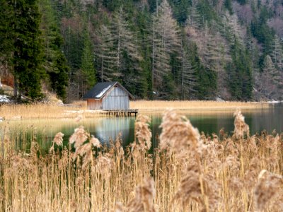 Leopoldsteiner See 4 photo