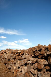 Holzstapel growing stock stacked up