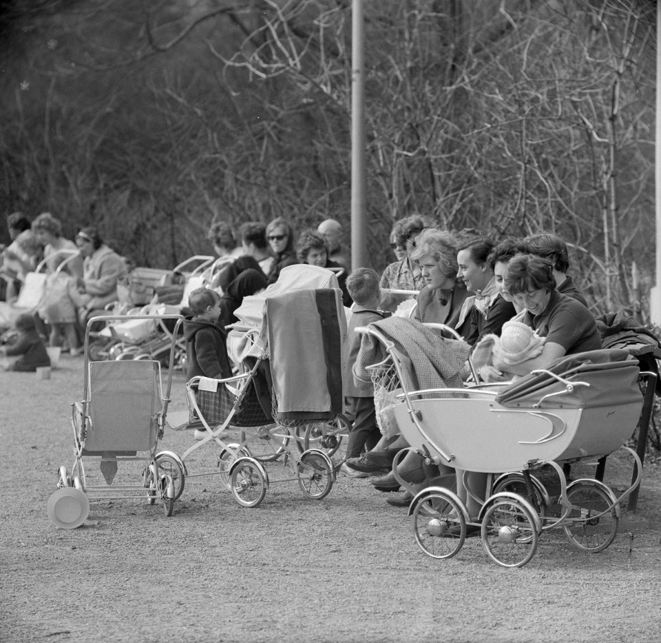 Lente in het Vondelpark, Bestanddeelnr 915-0281