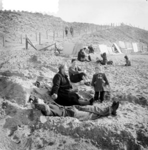 Lente in Zandvoort aan Zee, Bestanddeelnr 906-3311