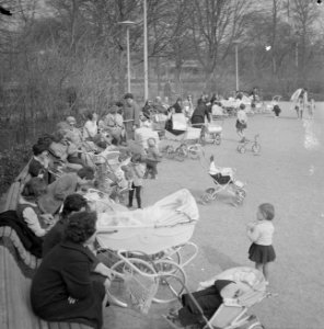 Lente in het Vondelpark, Bestanddeelnr 915-0282