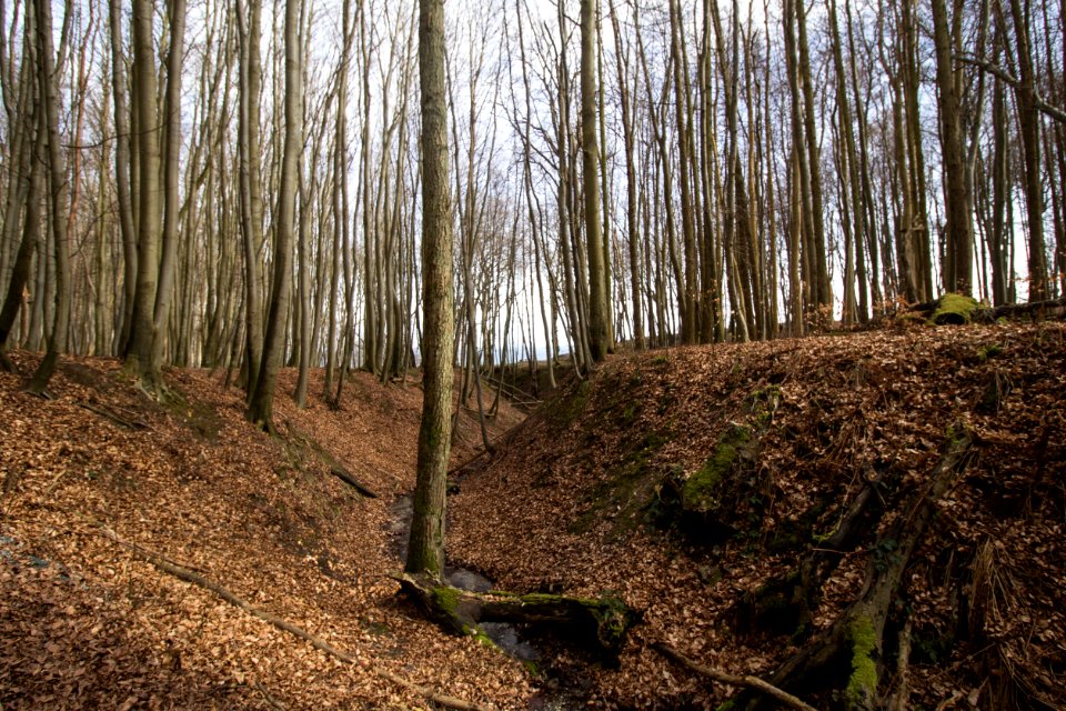 Lenzer Bach (bei Sassnitz, Rügen) 2