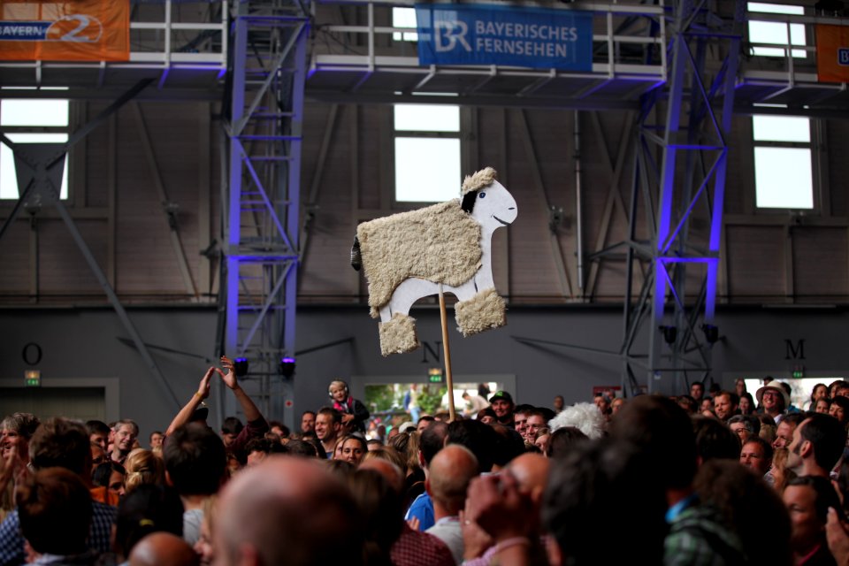 Lenze und de Buam - Heimatsound Festival 2015 (14)