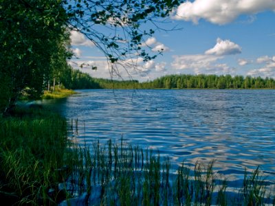 Leppijärvi-Loimaa-itä