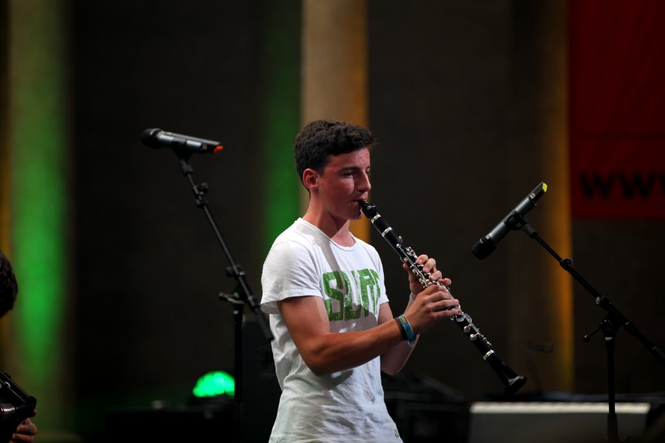 Lenze und de Buam - Heimatsound Festival 2015 (25)