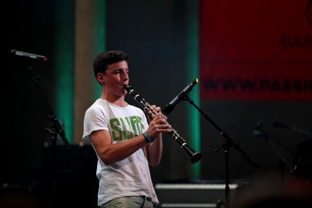 Lenze und de Buam - Heimatsound Festival 2015 (32)