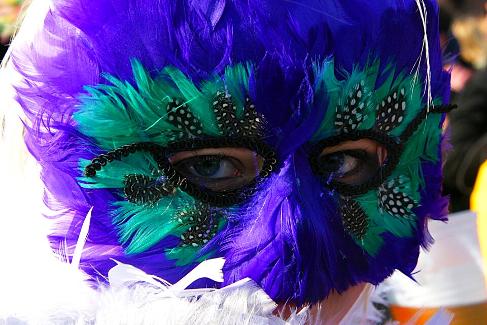 Party feathers purple