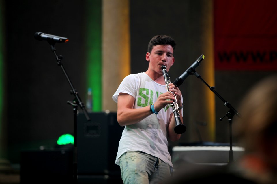 Lenze und de Buam - Heimatsound Festival 2015 (24)