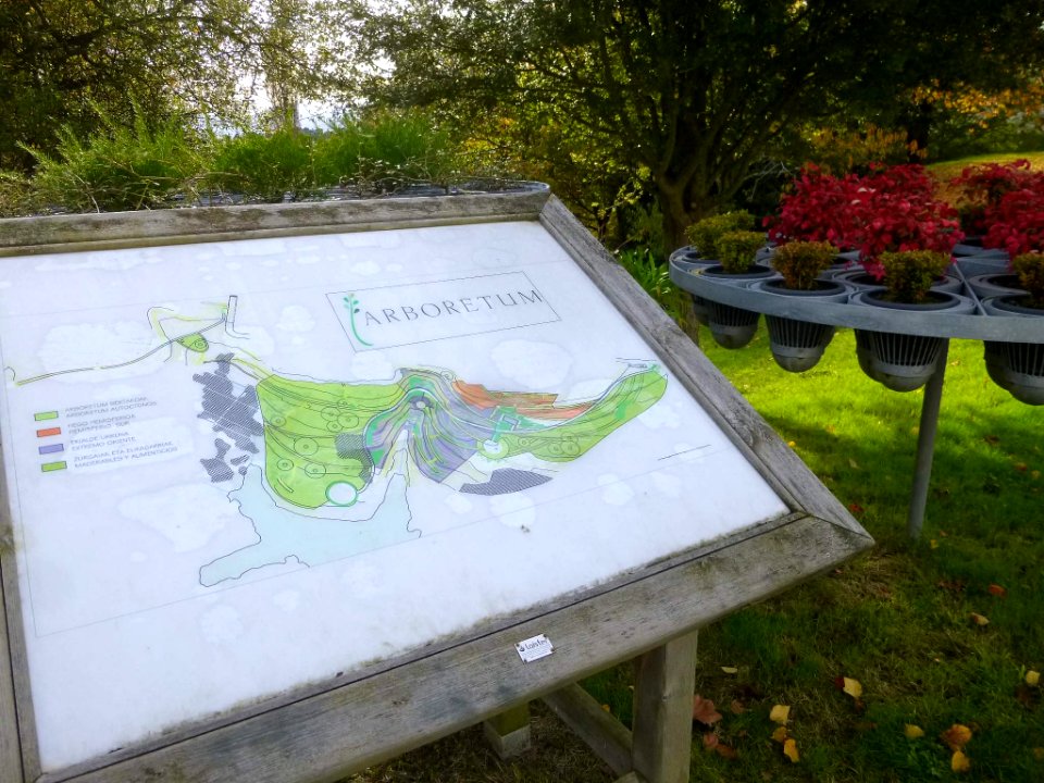 Lejona - Campus de Bizkaia de la UPV-EHU - Arboretum 06