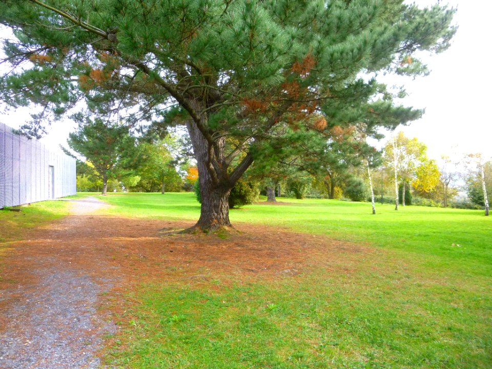 Lejona - Campus de Bizkaia de la UPV-EHU - Arboretum 01