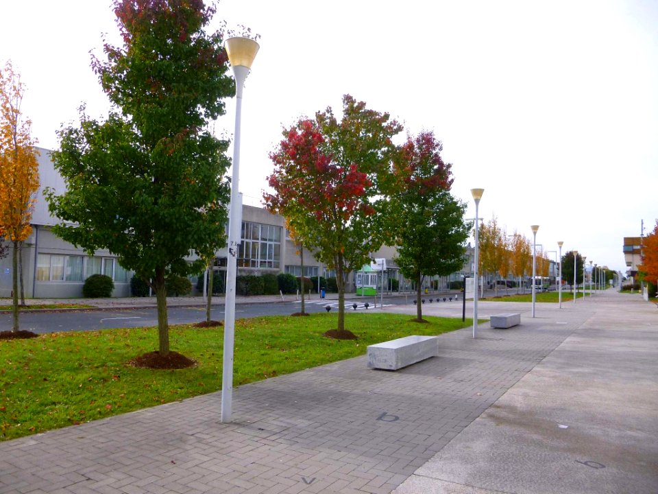 Lejona - Campus de Bizkaia de la UPV-EHU 03