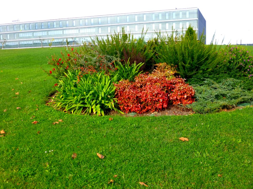 Lejona - Campus de Bizkaia de la UPV-EHU - Escuela Universitaria de Magisterio 09