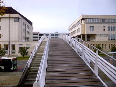 Lejona - Campus de Bizkaia de la UPV-EHU - Facultad de Derecho (Sección Bizkaia) y Escuela Universitaria de Relaciones Laborales 1