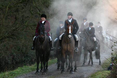 Outdoor mist equine