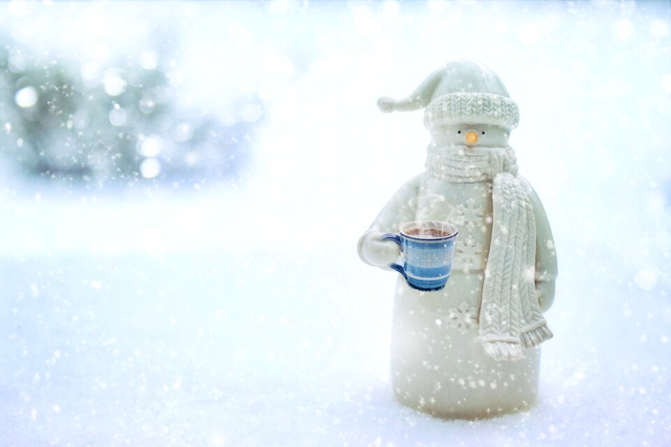 Snowy season cold