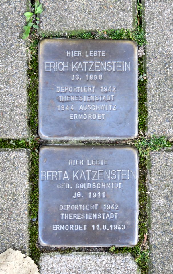 Lemgo - 2014-09-27 - Stolpersteine Katzenstein