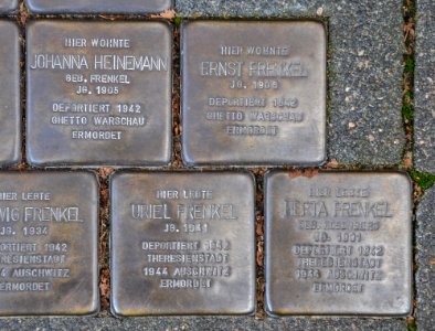 Lemgo - 2014-09-27 - Stolpersteine Frenkel & Co (8)