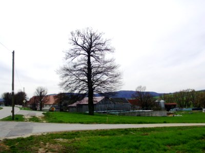 Lengenfeld 2012-04-10 (68)