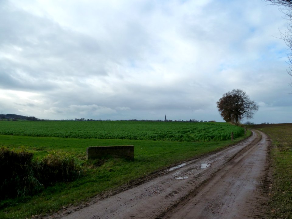 Lemiers-Terrein ten zuiden Oude Trichterweg (2)