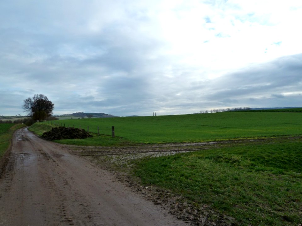 Lemiers-Terrein ten zuiden Oude Trichterweg (1)