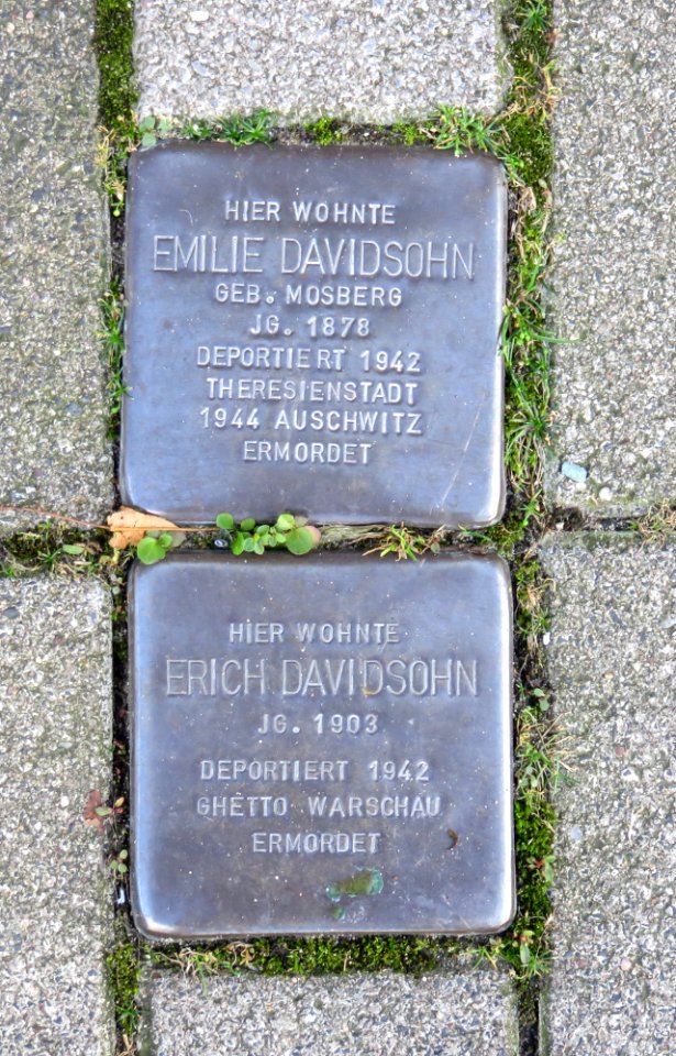 Lemgo - 2014-09-27 - Stolpersteine Davidsohn