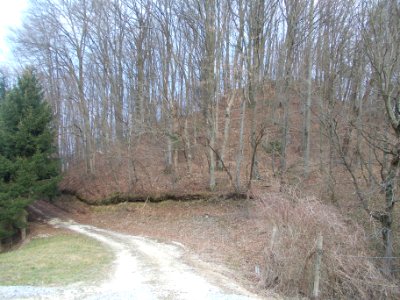 Lemberg pri Šmarju 16