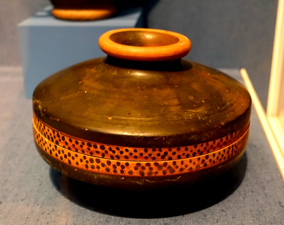 Lekanis, Campanian Greek, 399-200 BC, black-glazed terracotta - Portland Art Museum - Portland, Oregon - DSC08966