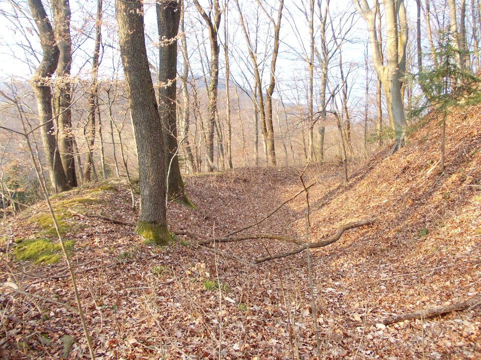 Lemberg pri Šmarju 14