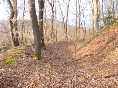Lemberg pri Šmarju 14