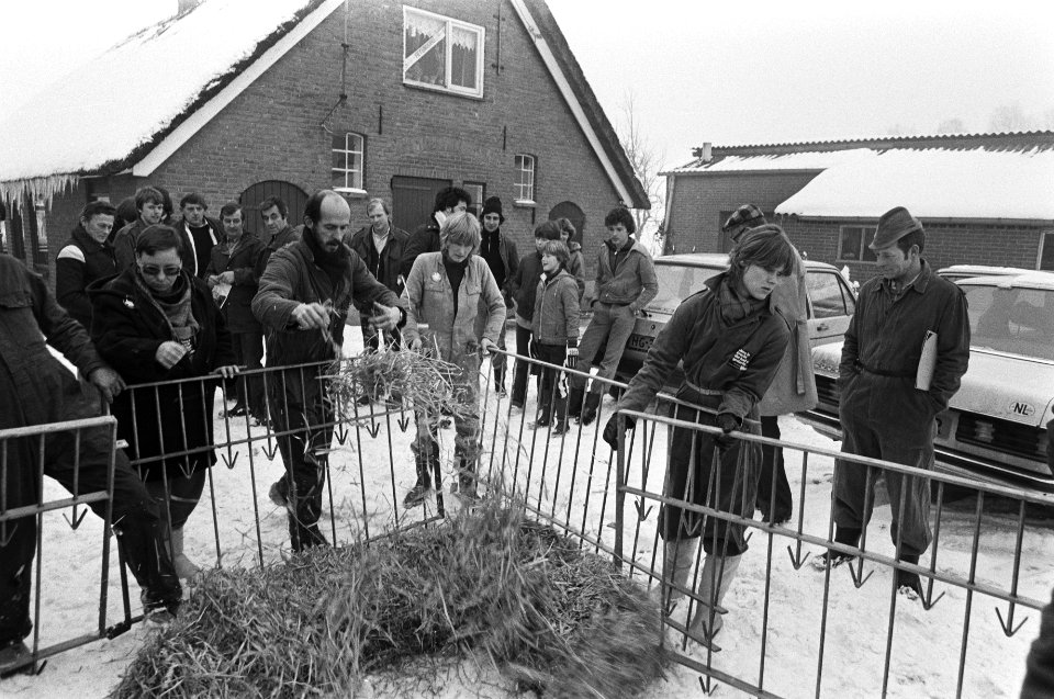 Lekker Dier in aktie tegen het houden van kistkalveren (+ Opdracht). Leden Lek, Bestanddeelnr 931-8800