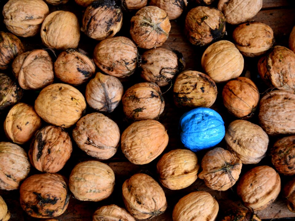 Blue turquoise diversity