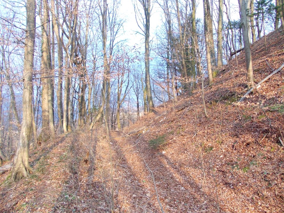 Lemberg pri Šmarju 15