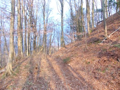 Lemberg pri Šmarju 15