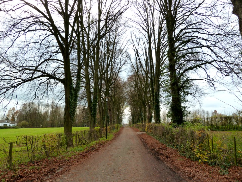 Lemiers-Kasteel Lemiers (10)