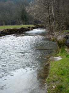 Les Hautes-Rivières (Ardennes) Ruisseau de St.Jean en forêt