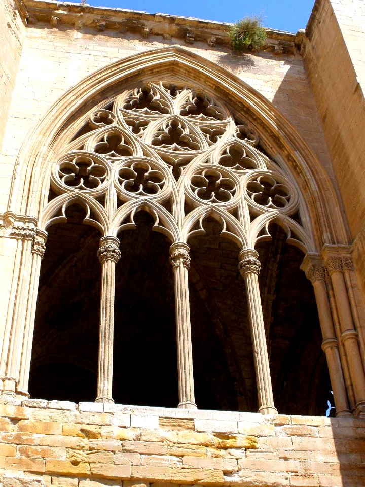 Lerida - Seu Vella 08
