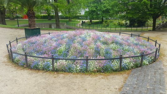 Leuven-Sint-Donatuspark (4)