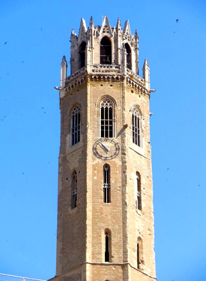 Lerida - Seu Vella 03