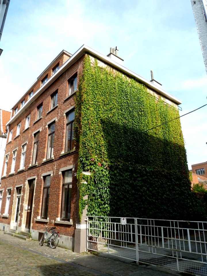 Leuven-Sint-Annastraat 9