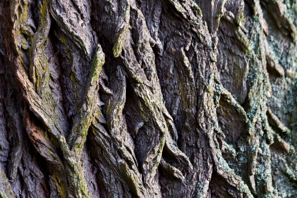 Macro structure wood