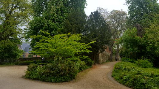 Leuven-Sint-Donatuspark (7)