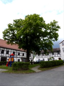 Leubsdorf, Lemnitz 12