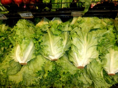 Lettuce stack wide