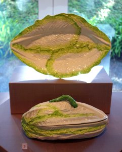 Lettuce tureen and stand, Longton Hall, c. 1756, soft-paste porcelain - California Palace of the Legion of Honor - DSC07625