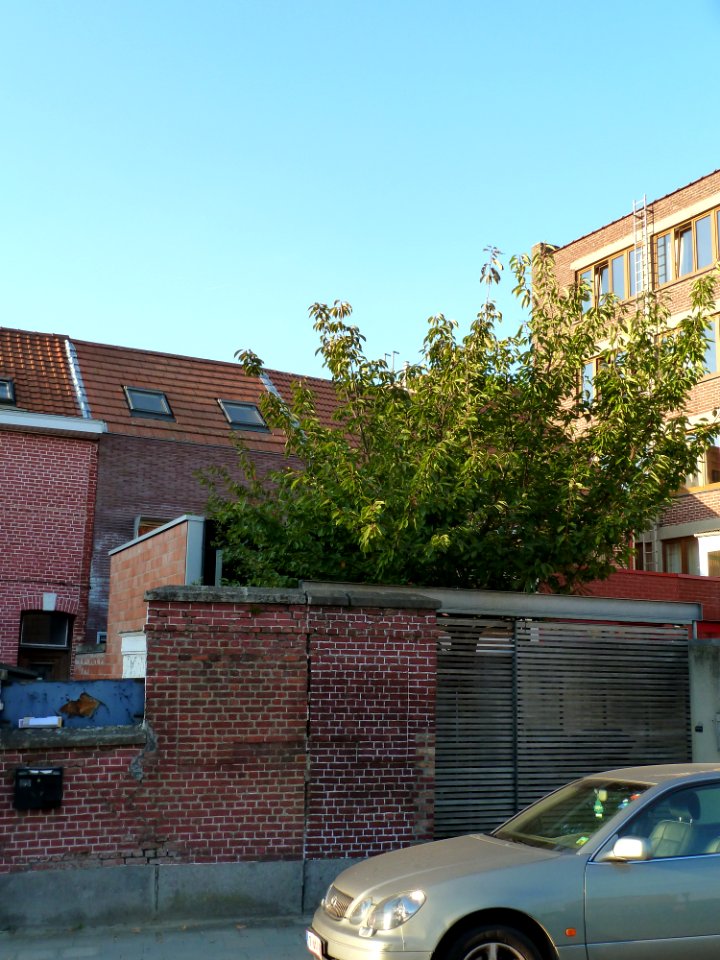 Leuven-Hendrik Consciencestraat 57