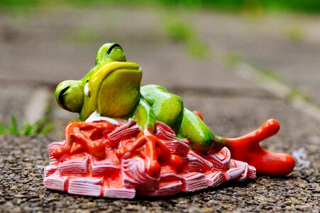 Frog figure funny