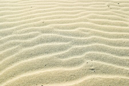 Waves beach dunes