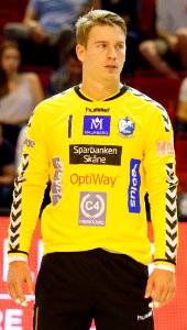 Leo Larsson 20160904