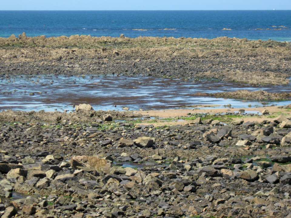 Les Pieux (Manche, Fr) bord de mer
